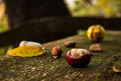 Close-up of fruits on table