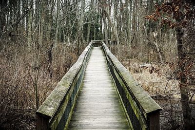 Footbridge over lake in forest