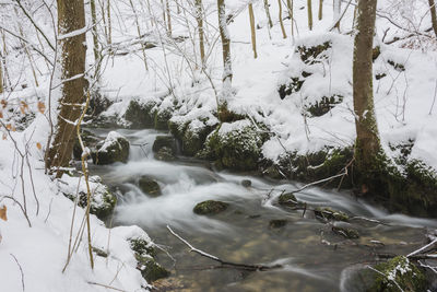 Scenic view of waterfall in forest during winter