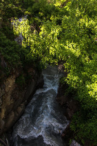 Scenic view of waterfall in forest