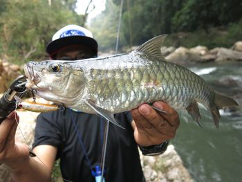 Midsection of person holding fish