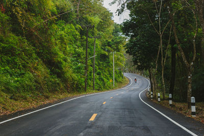 Empty road amidst trees in forest