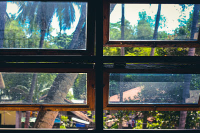 Close-up of glass window