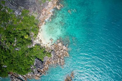 Drone field of view of spectacular blue coastline with waves and forest, seychelles.