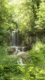 Scenic view of waterfall in forest