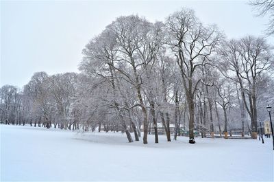 Bare trees on snow covered field against sky