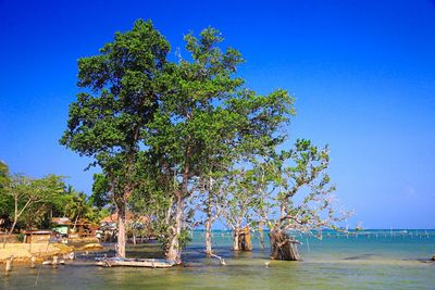 Scenic view of calm sea against clear sky