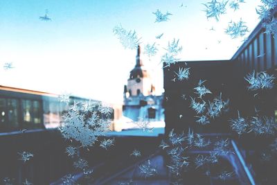 Close-up of snowflakes on window during winter