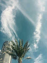 Low angle view of building and palm tree against sky