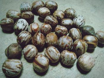 High angle view of eggs on table