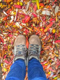 Low section of person in autumn leaves