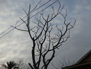 Low angle view of bare tree against cloudy sky