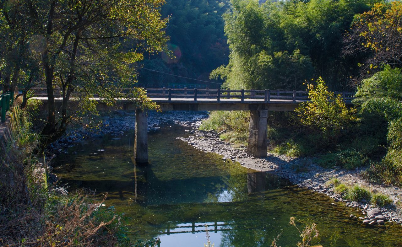 FOOTBRIDGE OVER RIVER IN FOREST