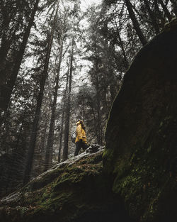 Low angle view of woman standing on rock formation in forest