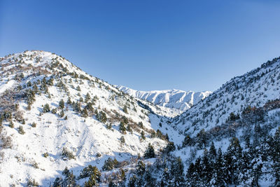 Beautiful mountain peaks covered with snow in the area of beldersay resort in uzbekistan, tien shan