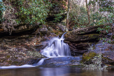 Waterfall in forest