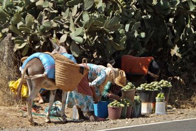 Man working on plants