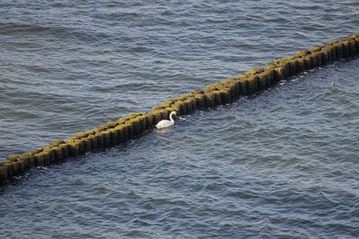 High angle view of wooden posts on sea