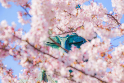 Close-up of butterfly on pink cherry blossom