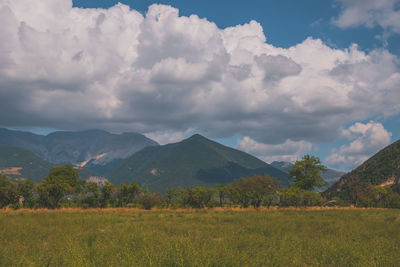 environment