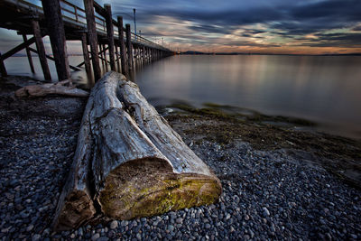 Close-up of driftwood on beach