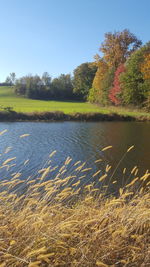 Scenic view of lake against sky during autumn