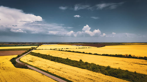 horizon