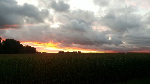 Scenic view of field against cloudy sky