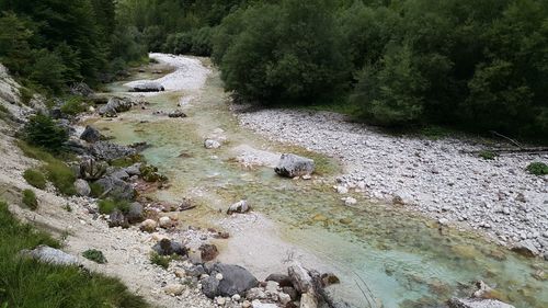 Stream flowing through rocks in forest