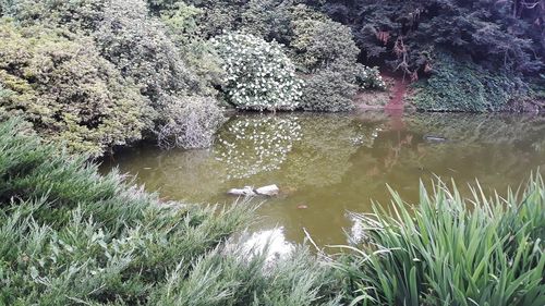 Scenic view of lake