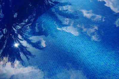 Reflection of trees in swimming pool