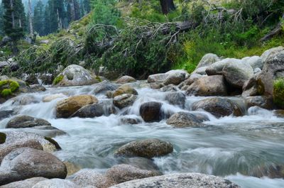 Scenic view of waterfall in forest