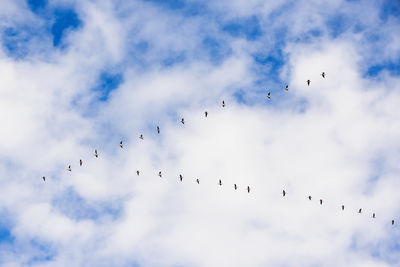 sky