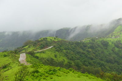 fog