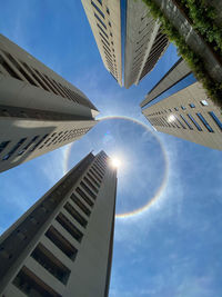 Halo in the city