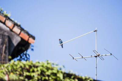 Low angle view of bird perching on antenna against clear sky