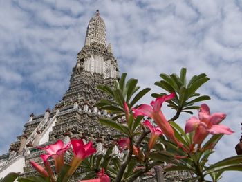 Low angle view of flowers against sky