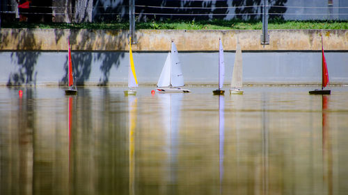 Sailboats in lake