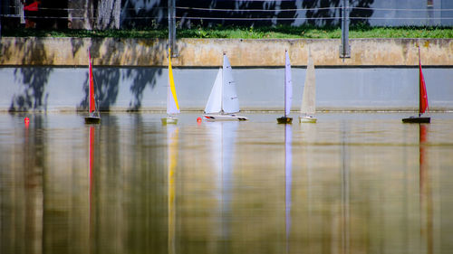 Sailboats in lake