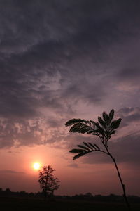 Silhouette tree against sky during sunset