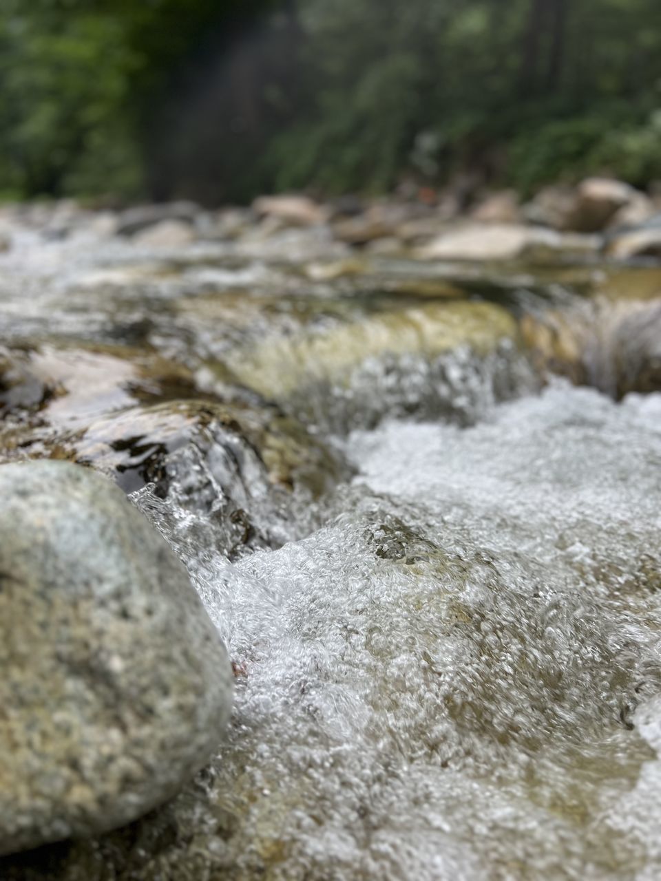 rock, stream, water, river, rapid, nature, no people, flowing water, day, motion, land, beauty in nature, flowing, plant, outdoors, tree, close-up, focus on foreground, forest, scenics - nature, environment, selective focus, tranquility, body of water, geology, watercourse