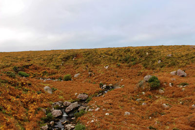 Scenic view of land against sky