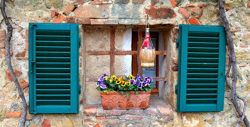 Multi colored flowers on house window