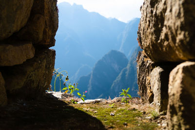 Scenic view of rocky mountains