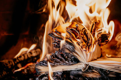 Close-up of burning firewood