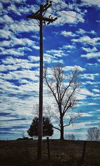 Silhouette tree against sky during sunset