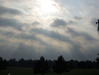 Trees on field against cloudy sky