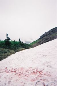 nature