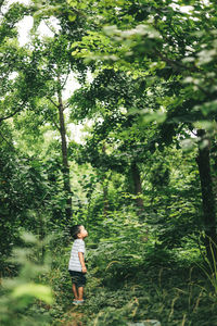 Full length of boy standing by tree in forest