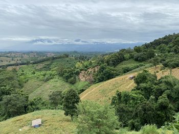 High angle view of trees on landscape against sky